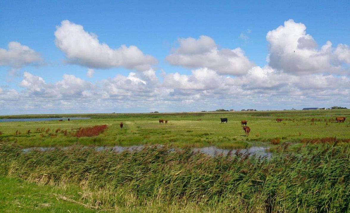 Hof Rickelsbuell - Nordseeurlaub Auf Dem Biobauernhof Rodenäs Exterior foto